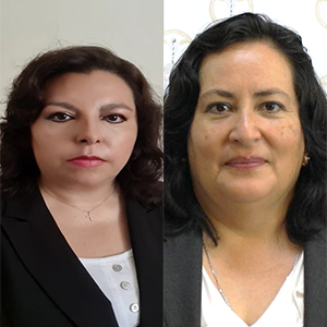 Claudia Patiño Pérez,Yolanda García Piceno